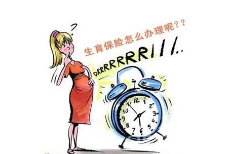 女性生育保險(xiǎn)如何購(gòu)買？ 第1張
